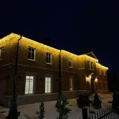 262095403_485561442765444_610612070809904059_n