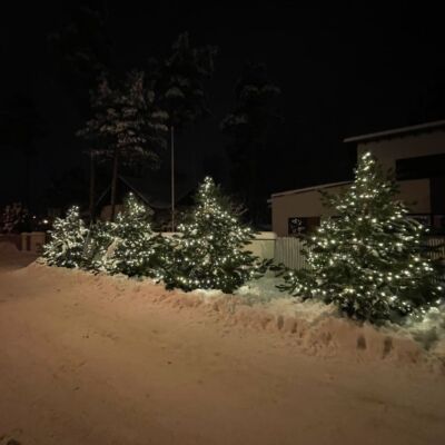 jõulutuled puudel, jõuluvalgustus