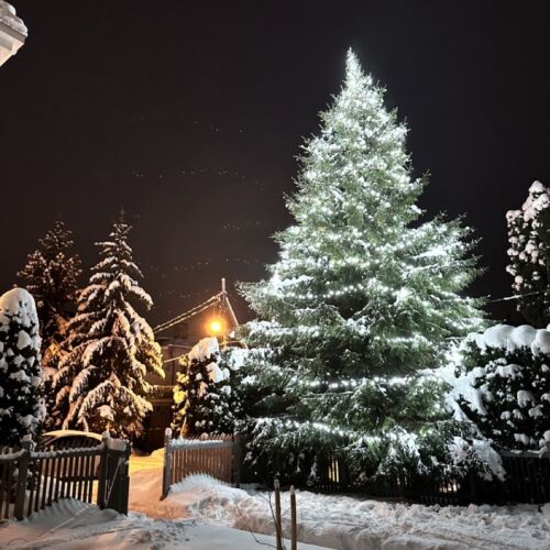 Jõulukuusk valgusketiga